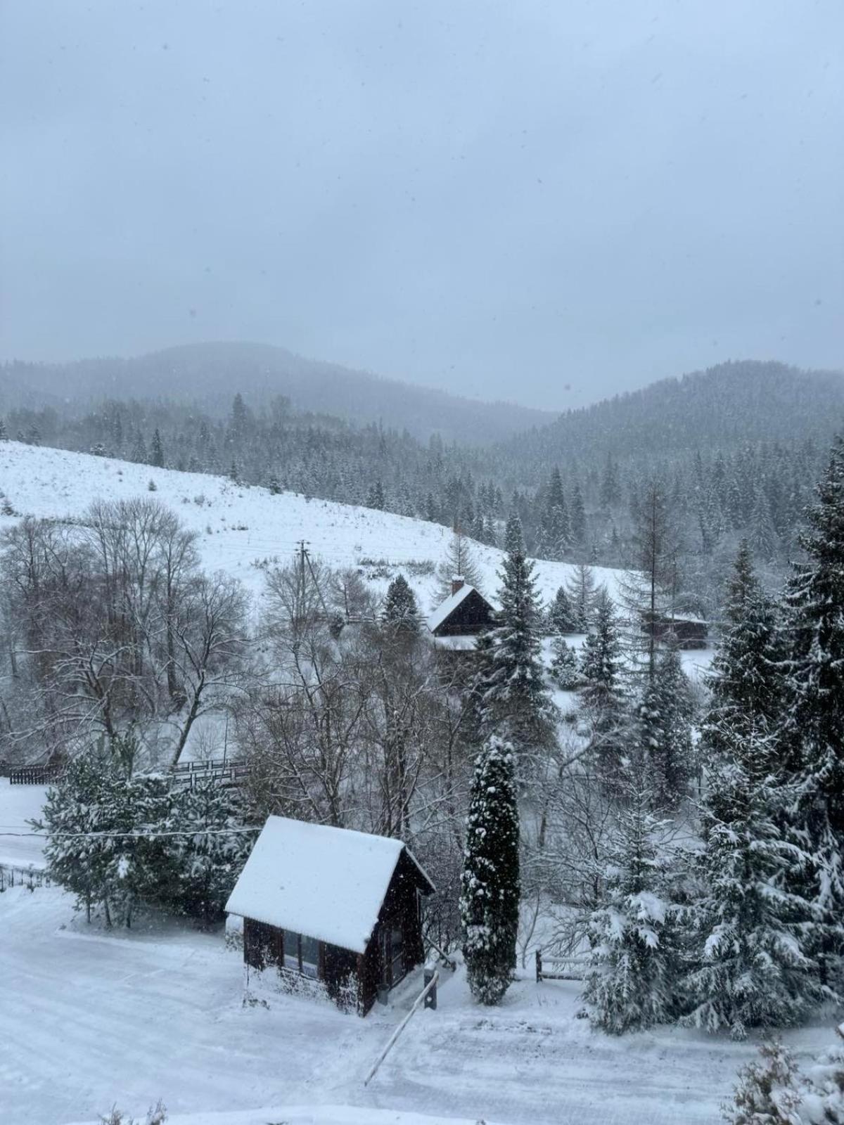 Georgiy Hotel Oryavchyk Buitenkant foto